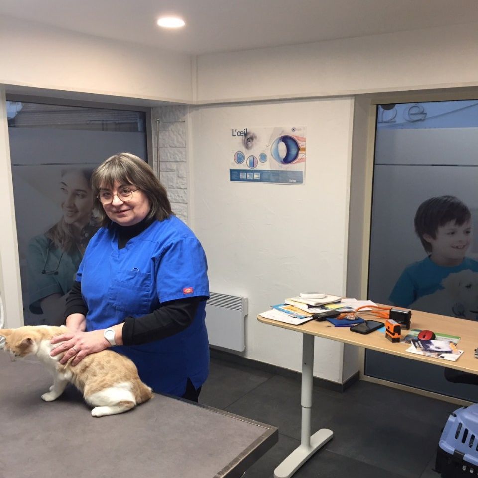 vétérinaire en blouse bleue foncé